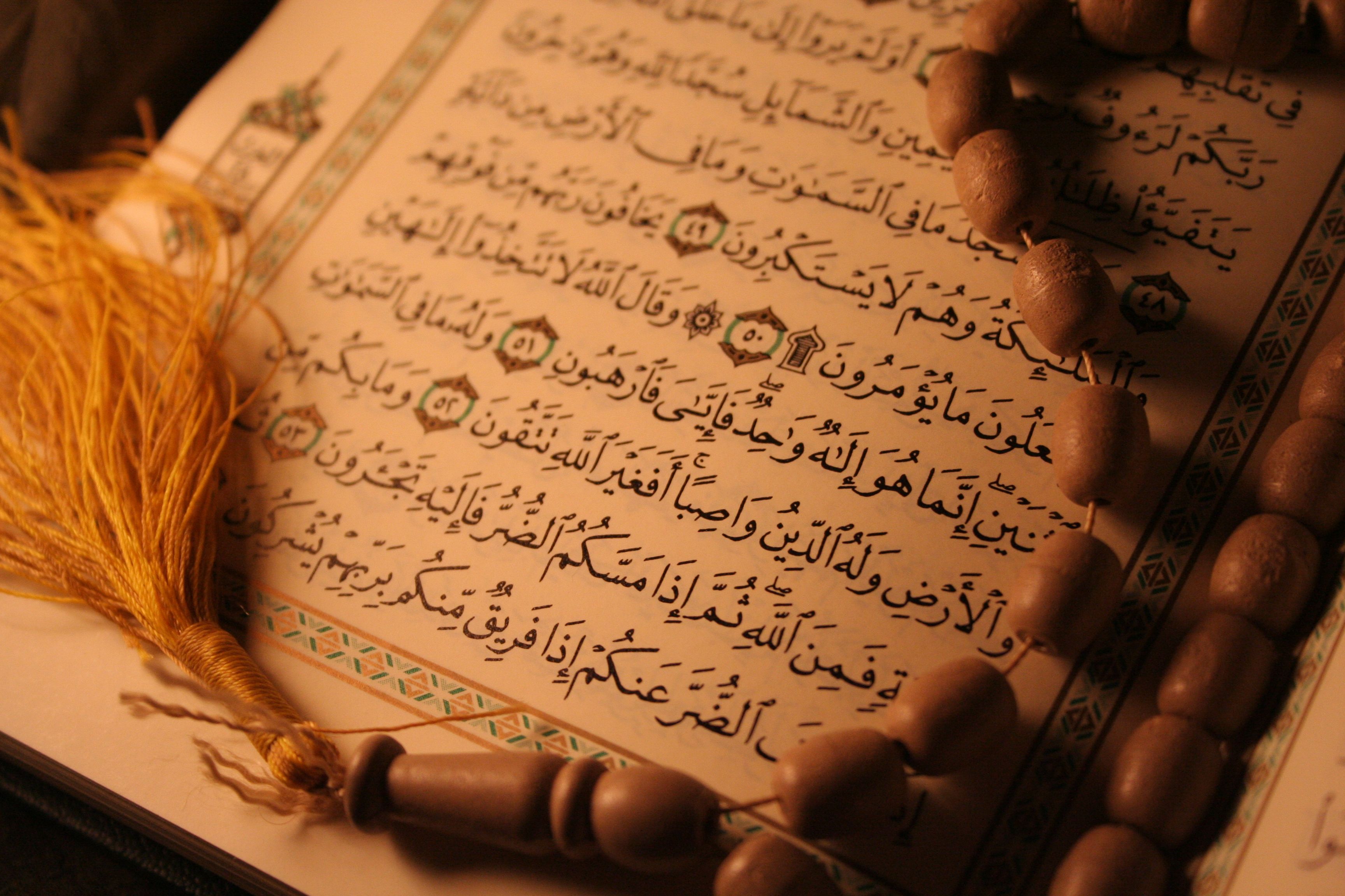 صورة مصغّرة